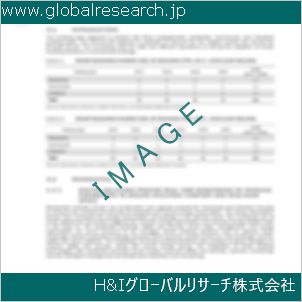 グローバルリサーチ調査資料のイメージ